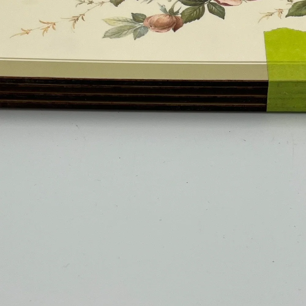 Vintage Pimpernel Robin Bird Placemats Set of 4 Cream Green Good Vintage Corked